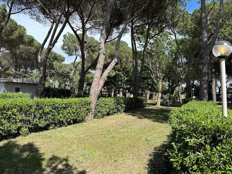 Emplacement Standard