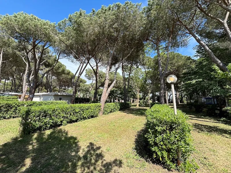 Emplacement Standard