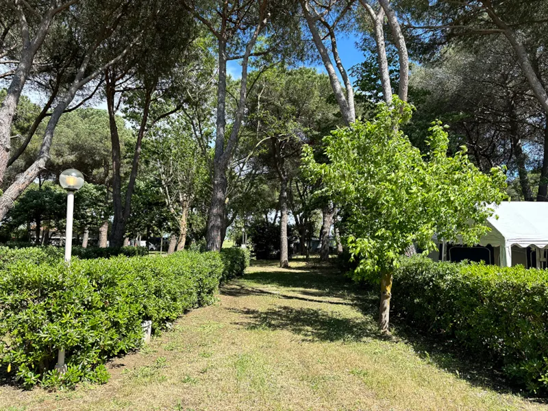 Emplacement Standard