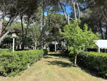 Stellplatz - Stellplatz Superior - Village Club Costa d'Argento