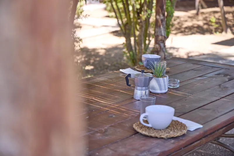 Appartement Une Pièce Tarocchi