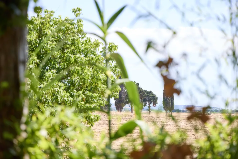 Village Club Costa d'Argento