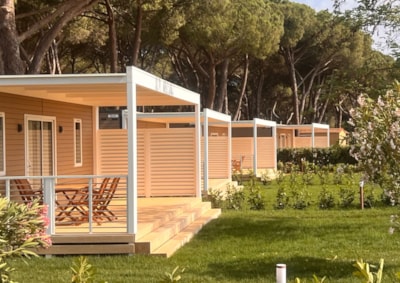 Mobil Home Luxury — 3