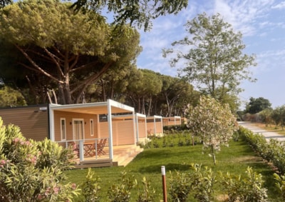 Mobil Home Luxury — 7