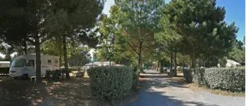 Stellplatz - Stellplatz  B + Fahrzeug + Strom  6A - Camping l'Océan