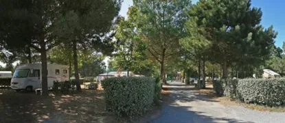 Forfait B : Emplacement + 1 Voiture + Electricité 6A