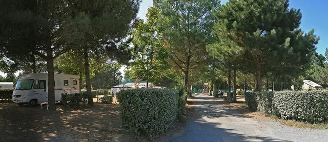 Forfait B : Emplacement + 1 Voiture + Electricité 6A