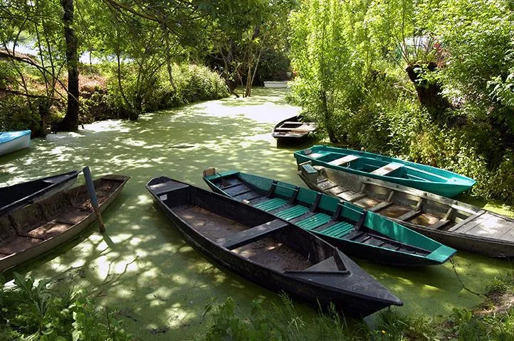 Camping l'Océan