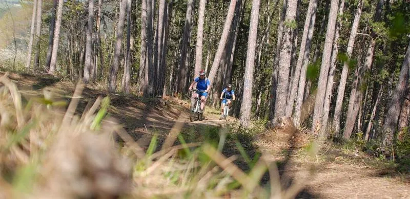 Camping de la Plage - Alpes, Vercors et Trièves