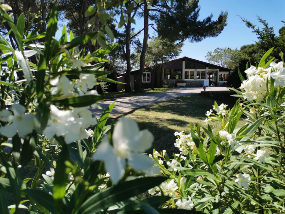 Clico Chic - Camping la Commanderie