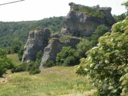 Eco-camping du Larzac - image n°11 - Roulottes