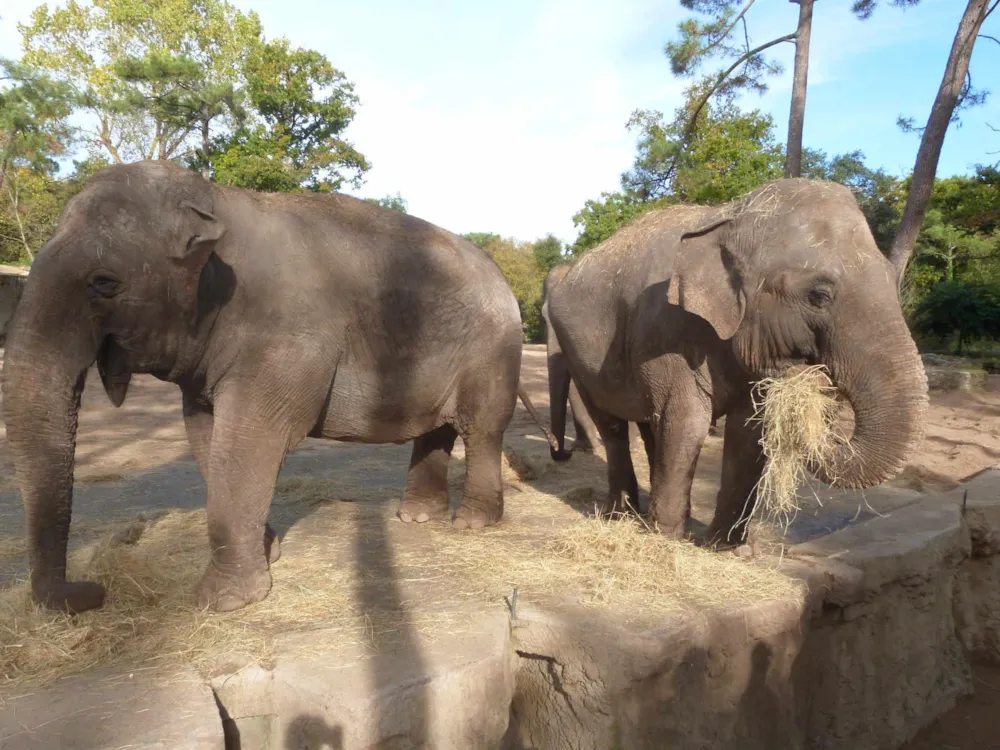 Chadotel Tahiti / La Grande Côte