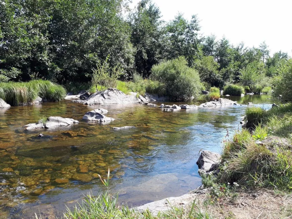 Camping La Cigale de L'Allier