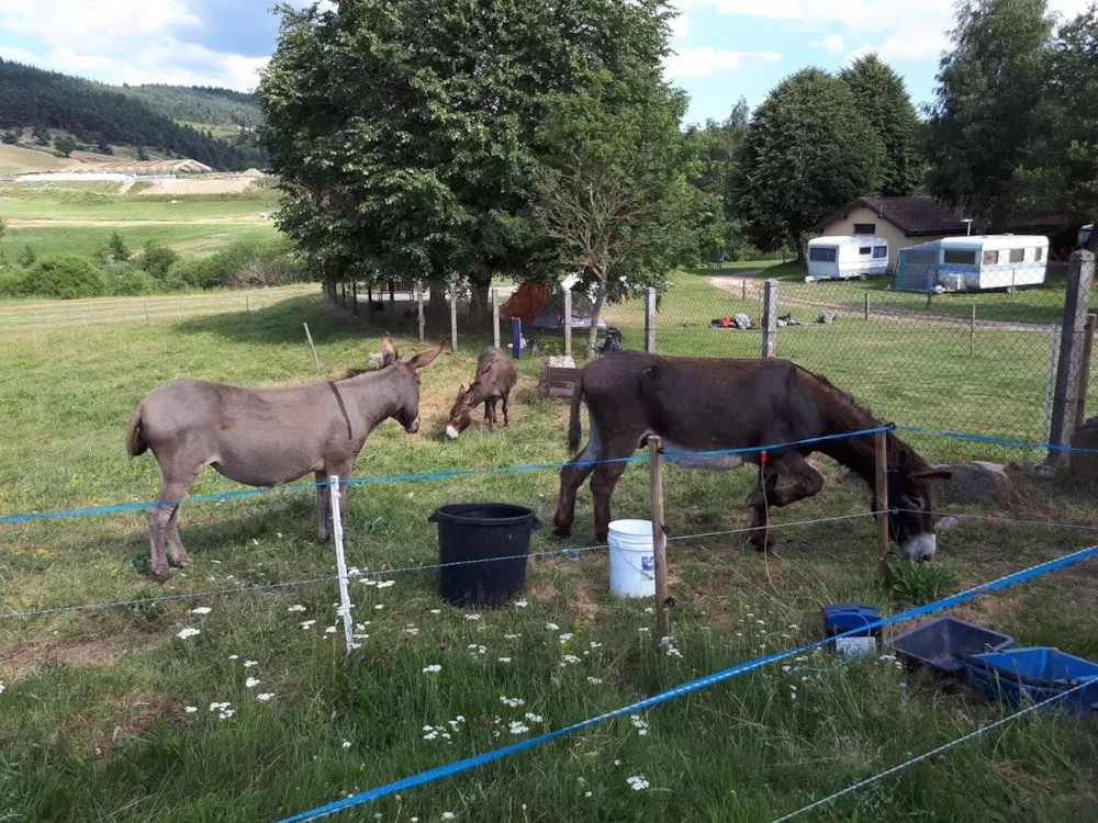 Camping La Cigale de L'Allier - image n°13 - UniversalBooking