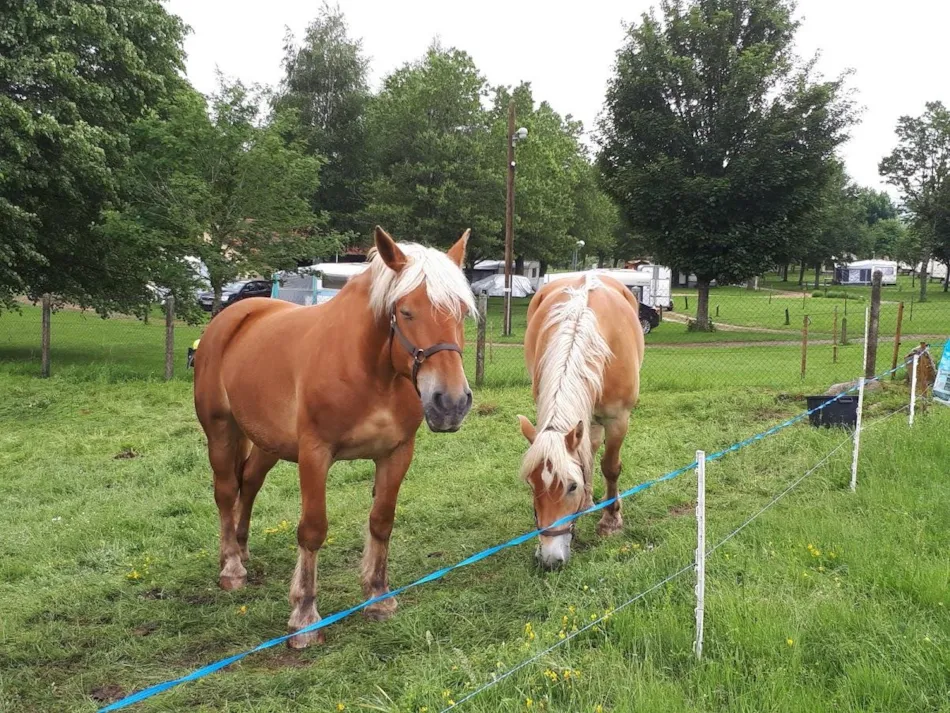 Camping La Cigale de L'Allier