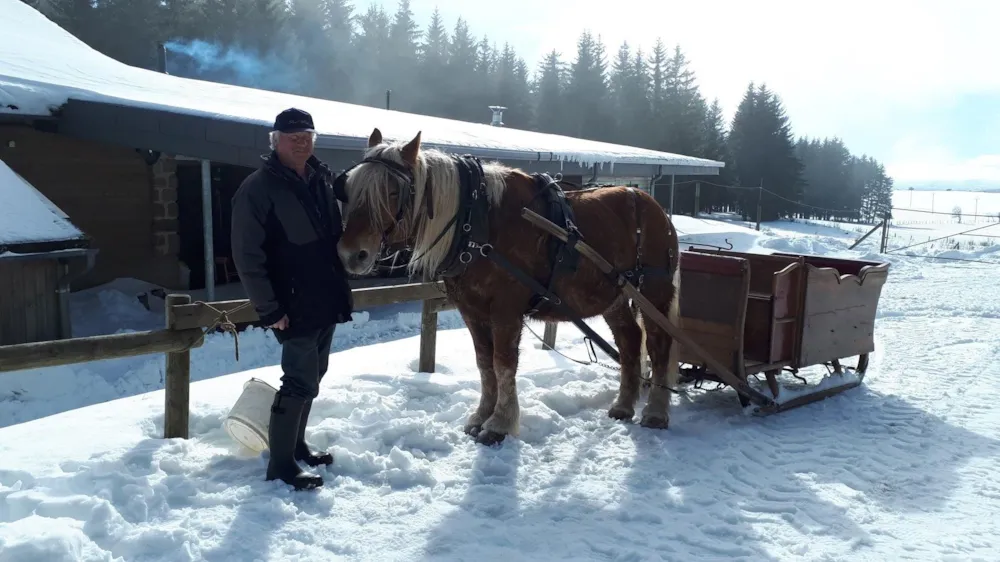 Camping La Cigale de L'Allier - image n°20 - UniversalBooking