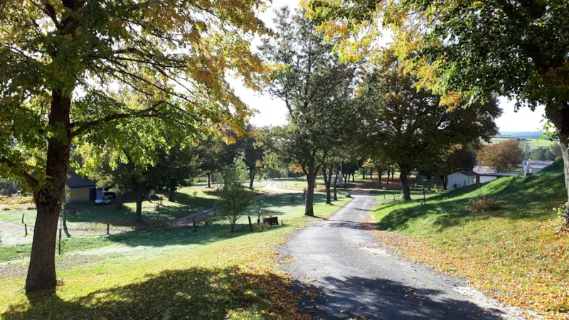 Forfait Emplacement (Tente Ou Caravane + Véhicule)