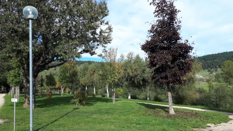 Forfait Emplacement (Tente Ou Caravane + Véhicule)