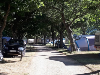 Package: Pitch + car + tent or caravan + electricity