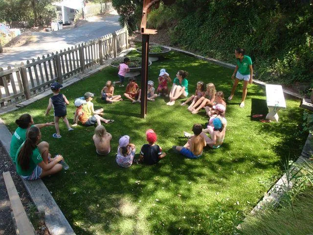 Camping  Holiday Green