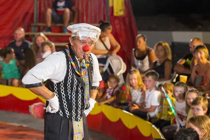 Camping  Holiday Green