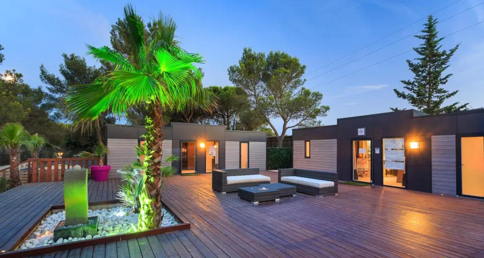 Camping  Holiday Green