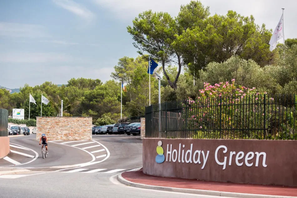 Camping  Holiday Green