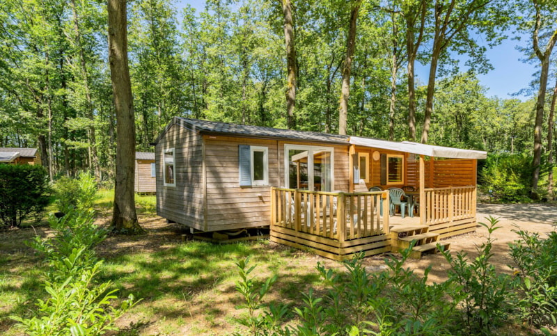 Stacaravan Comfort - 32 m²- 3 slaapkamers - Verhoogd terras