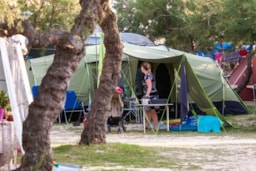 Camping Puntica - image n°9 - Roulottes