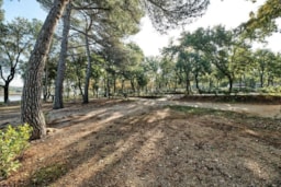 Piazzole - Piazzola - Zone A, Classic - Camping Puntica