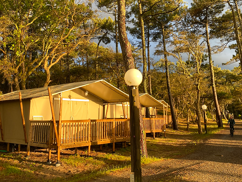 Lodge 3 zimmer
