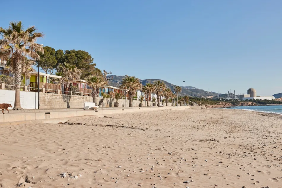 Alannia Costa Dorada