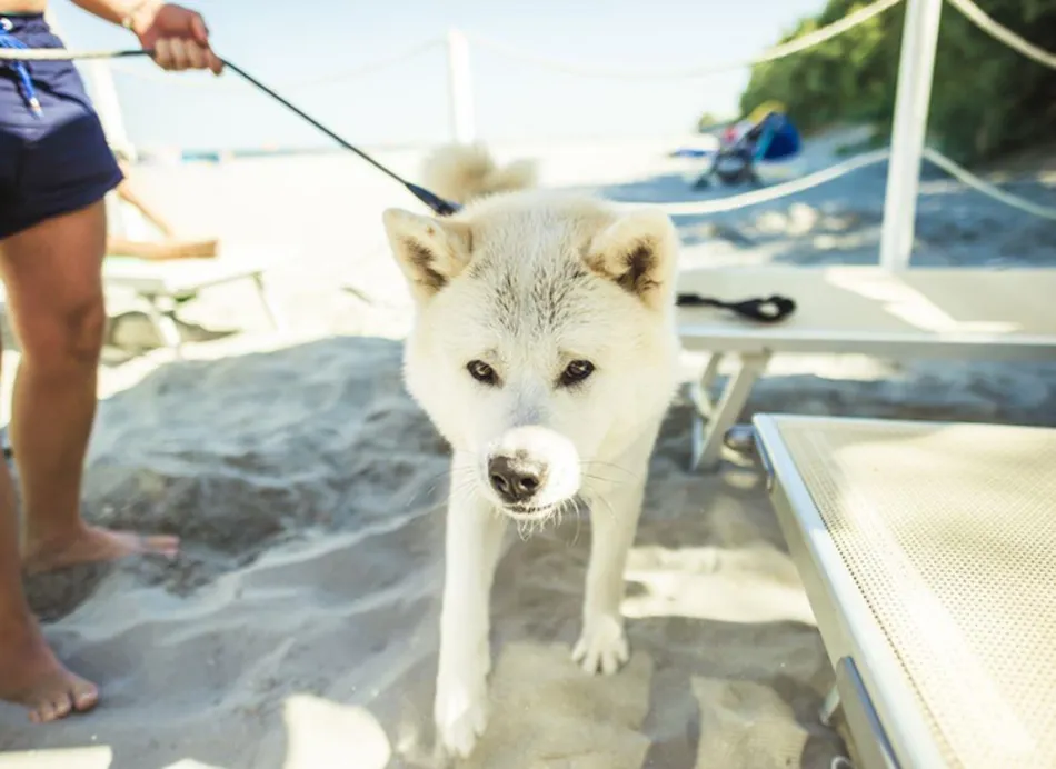 Club del Sole Marina Family Resort 