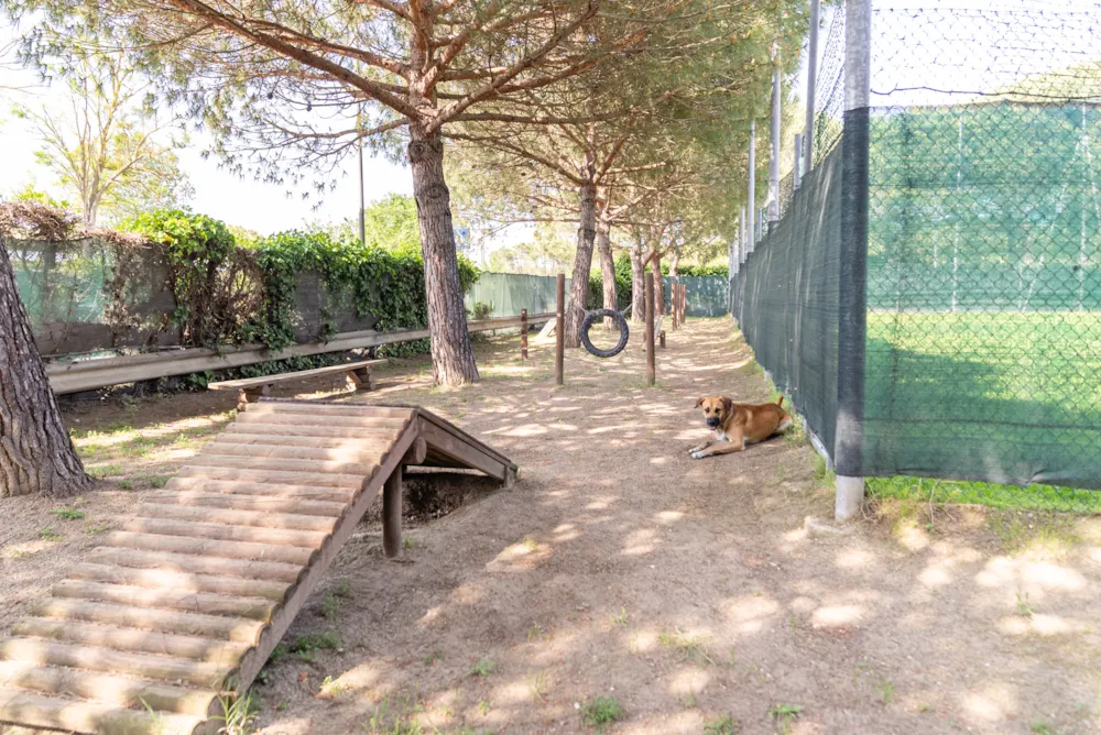 Club del Sole Marina Family Resort 