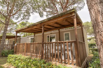 Lodge Comfort Pet Allowed