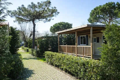 Lodge Animali Ammessi