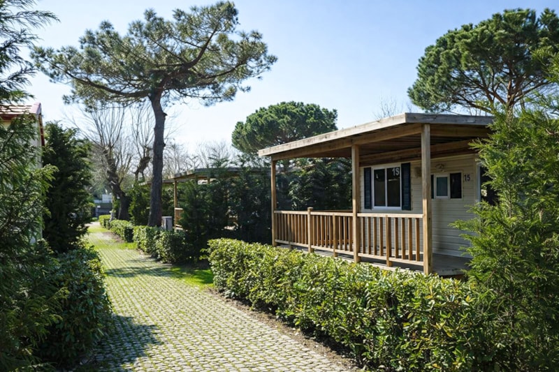 Lodge Tiere erlaubt