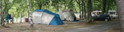 Camping Le Chêne du Lac - image n°4 - Roulottes