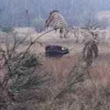 Foto #29 van Camping L’Ecrin Nature