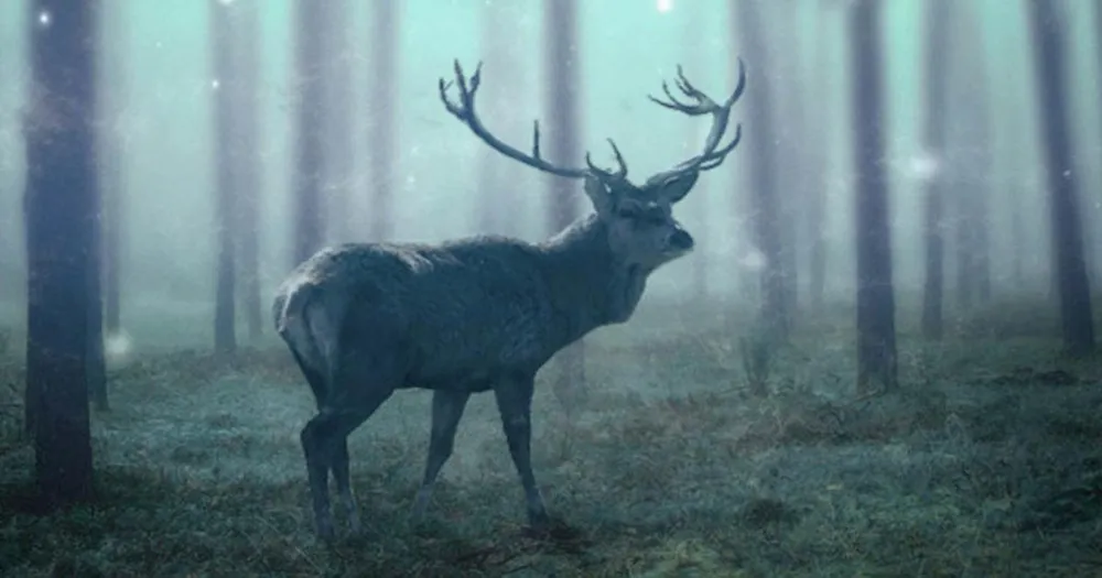 Camping de l'Orival - image n°33 - UniversalBooking