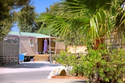 Camping MER SABLE SOLEIL - image n°1 - Roulottes
