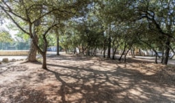 Emplacement - Emplacement Classic | > 100 M² | Electricité <10A - Homair-Marvilla - Les Lacs du Verdon