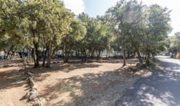 Kampeerplaats(en) - Standplaats Classic | > 80 M² | Electriciteit <10A - Homair-Marvilla - Les Lacs du Verdon