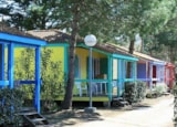 Chalet 35M² - 2 Camere Chalet 35M² - 2 Camere