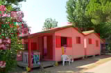 Chalet 30M² - 2 Camere Chalet 30M² - 2 Camere