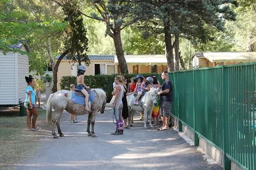 Camping Abri de Camargue