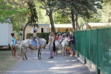 Foto #51 van Camping Abri de Camargue