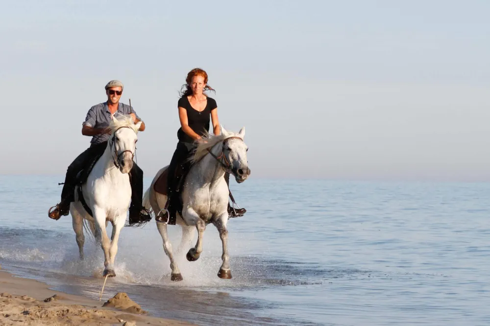 Camping Abri de Camargue