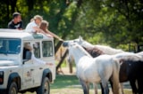 Foto #88 van Camping Abri de Camargue