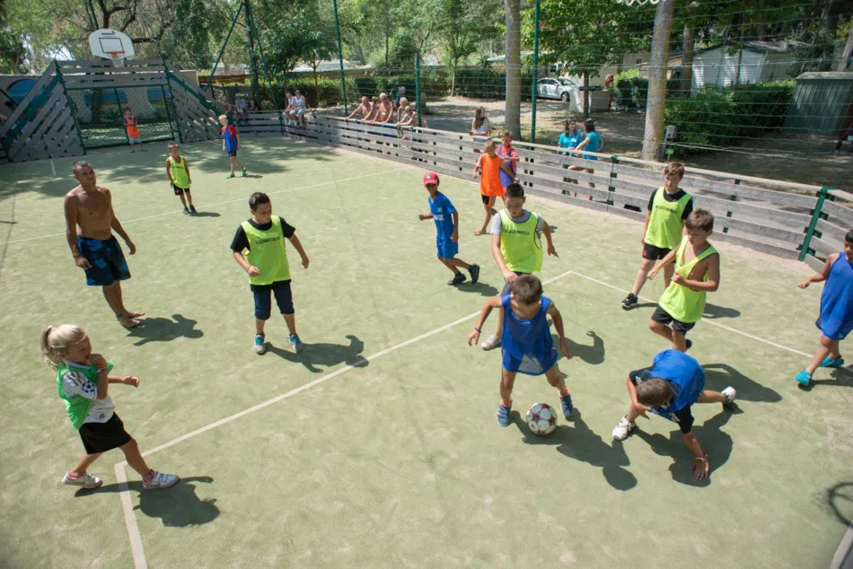 Camping Abri de Camargue